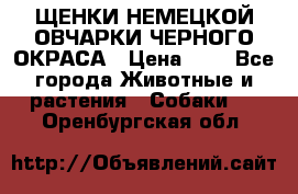 ЩЕНКИ НЕМЕЦКОЙ ОВЧАРКИ ЧЕРНОГО ОКРАСА › Цена ­ 1 - Все города Животные и растения » Собаки   . Оренбургская обл.
